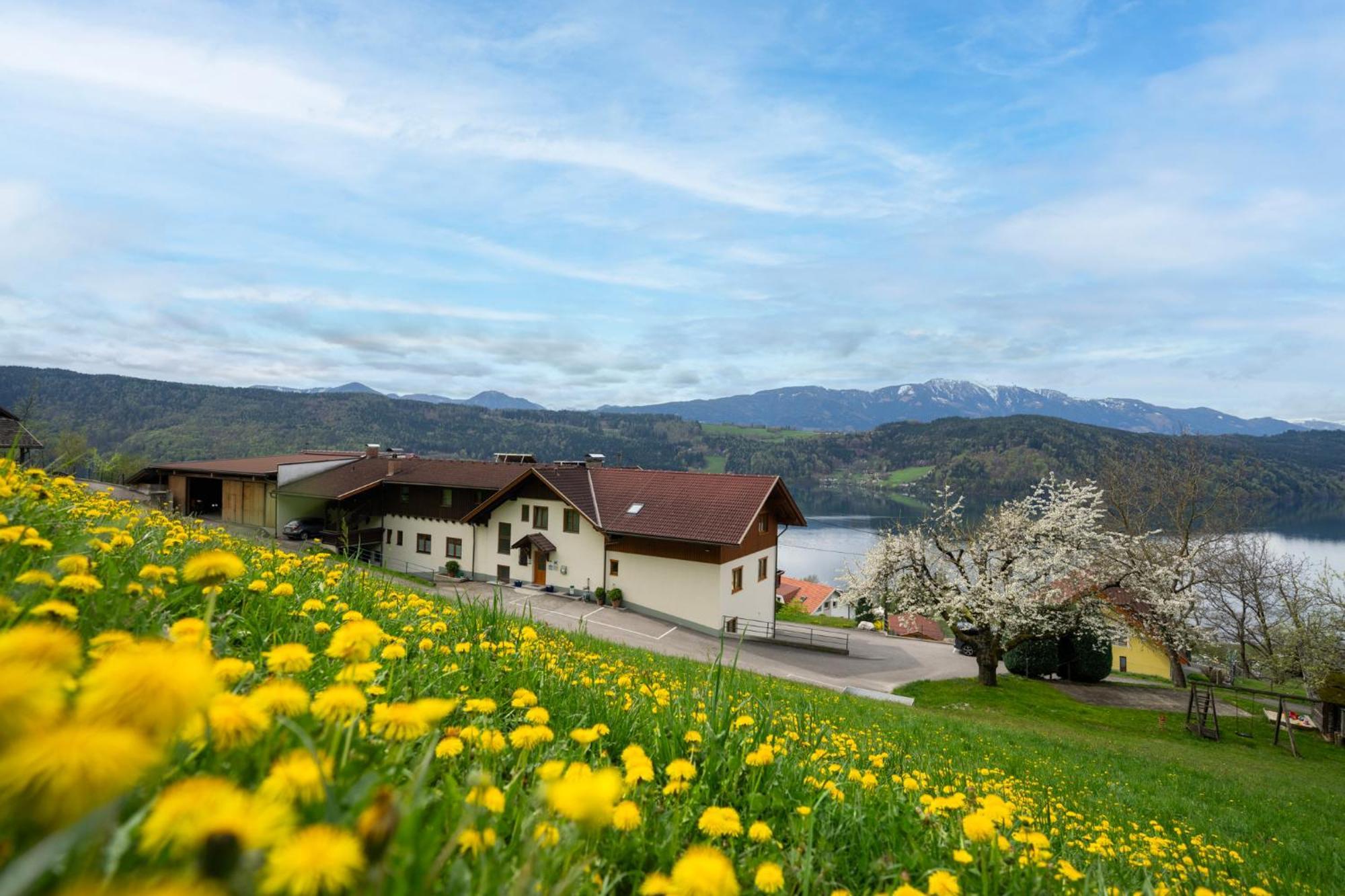 Fruehstueckspension Goetzfried-Hof Millstatt am See Zewnętrze zdjęcie